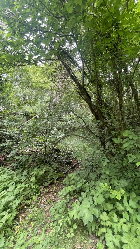 Terrain de loisirs - 1 900 m²