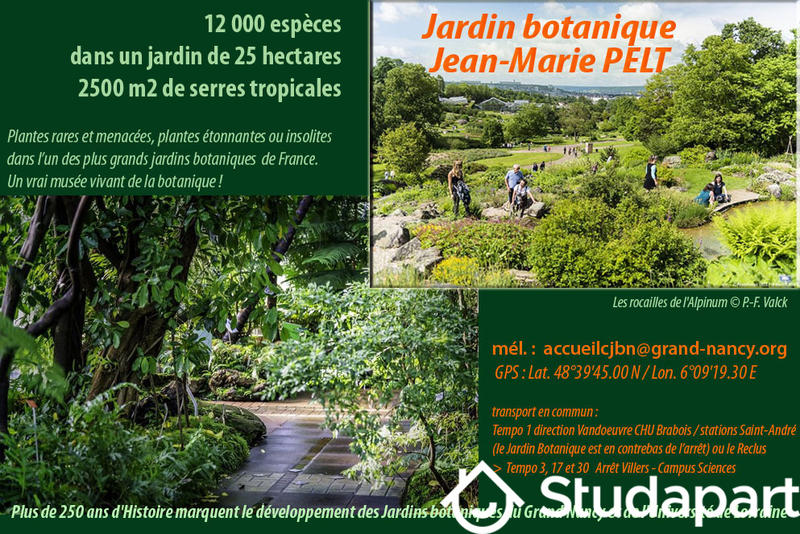 Appartement - 27 m² - 2 pièces