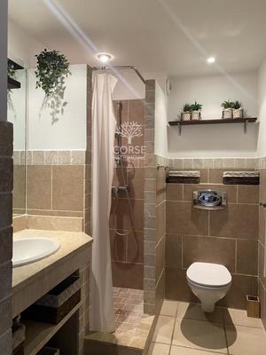 Studio - 24 m² - 1 pièce