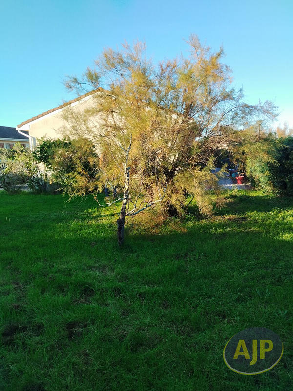 Maison - 88 m² - 5 pièces