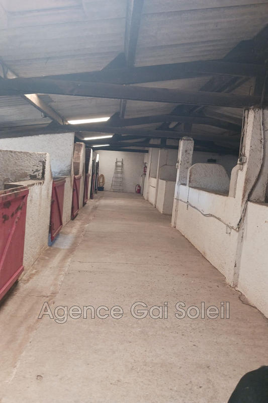 Maison de domaine équestre - 222 m² - 8 pièces