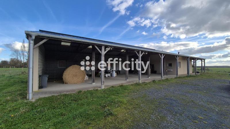 Maison - 40 m² - 2 pièces