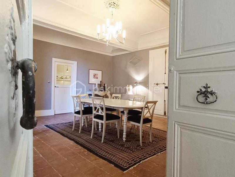 Hôtel particulier - 247 m² - 6 pièces