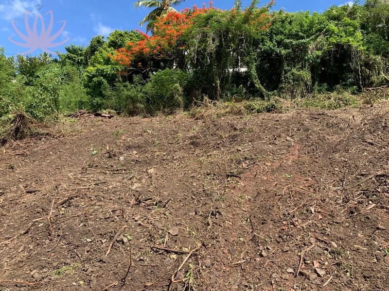 Immeuble - 278 m² - 10 pièces