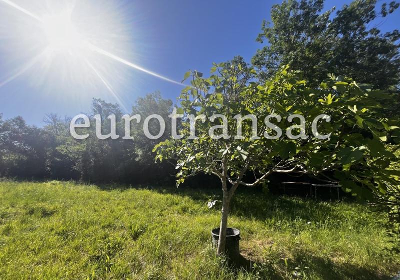 Terrain agricole - 11 480 m²