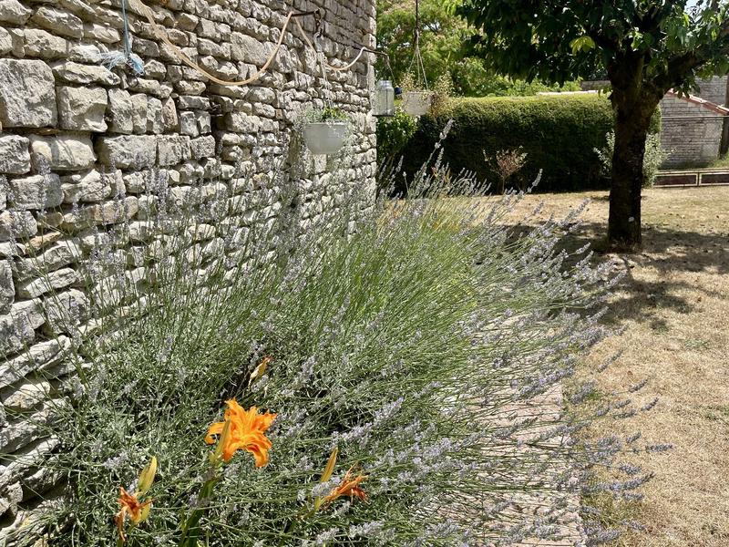 Maison - 136 m² - 4 pièces