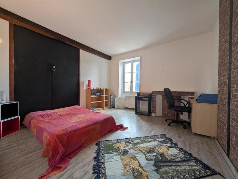 Maison en pierre - 265 m² - 7 pièces