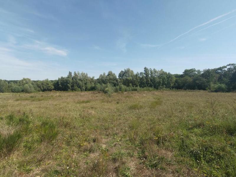 Terrain - 62 669 m²