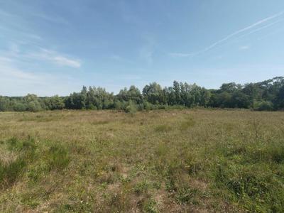 Terrain - 62 669 m²