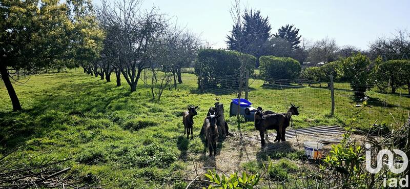 Maison - 114 m² - 7 pièces