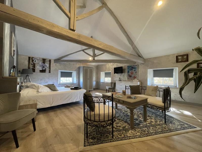 Maison de maîtres - 450 m² - 9 pièces