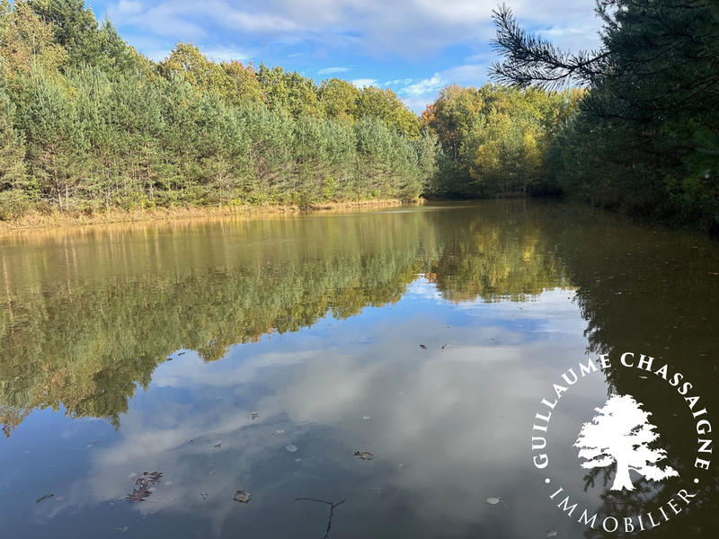 Terrain - 15 870 m²