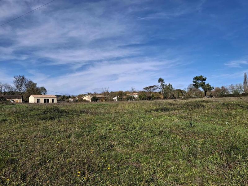 Terrain - 23 422 m²