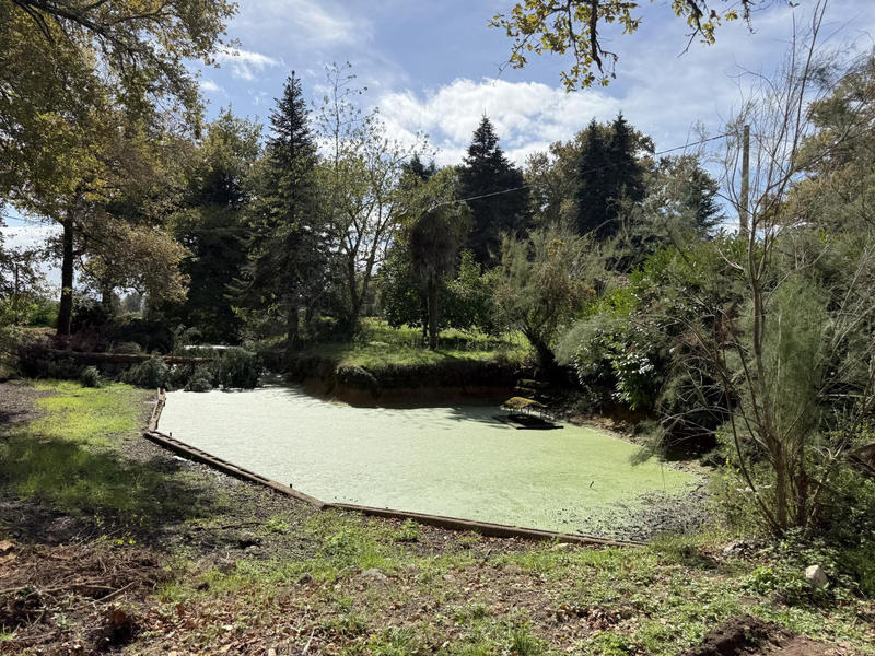 Maison - 217 m² - 9 pièces