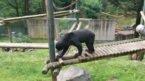 Espace Zoologique de Saint Martin la Plaine