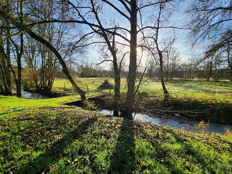 Maison - 376 m² - 10 pièces