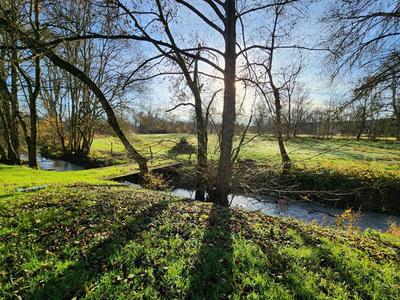 Maison - 376 m² - 10 pièces