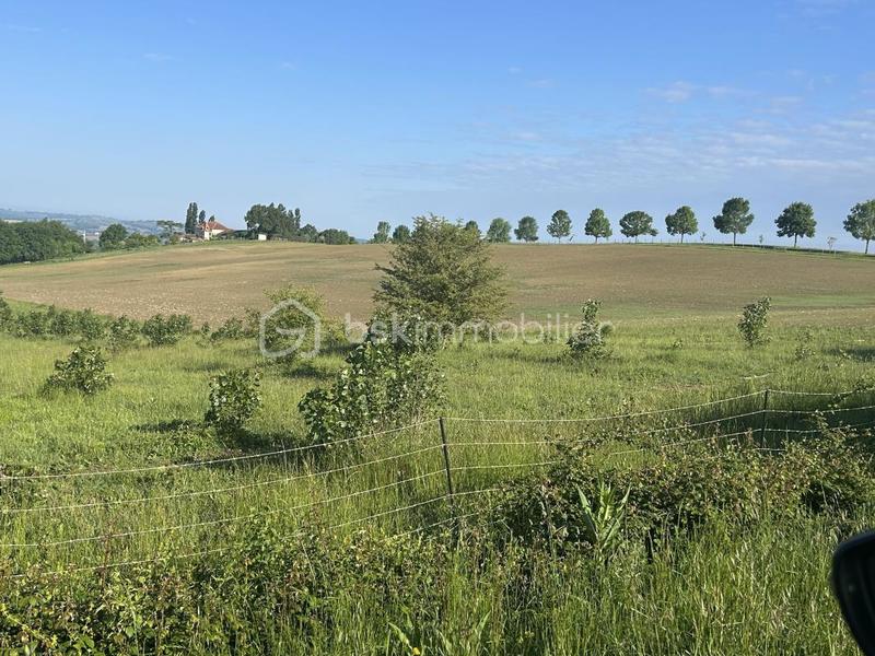 Propriété - 885 m² - 22 pièces