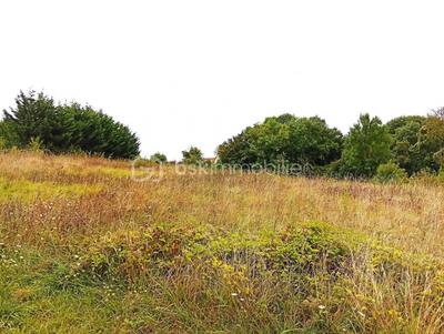 Terrain de loisirs - 2 729 m²