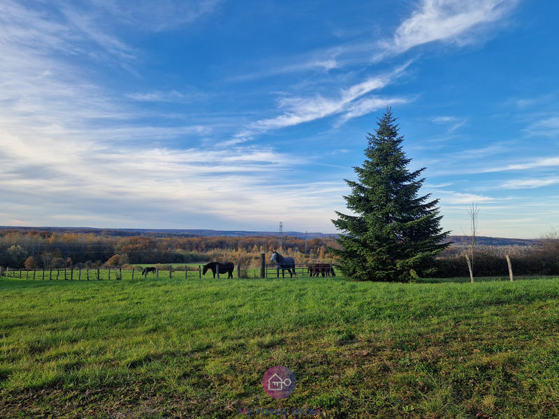 Propriété - 124 m² - 6 pièces