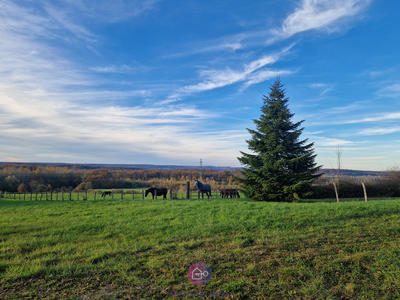 Propriété - 124 m² - 6 pièces