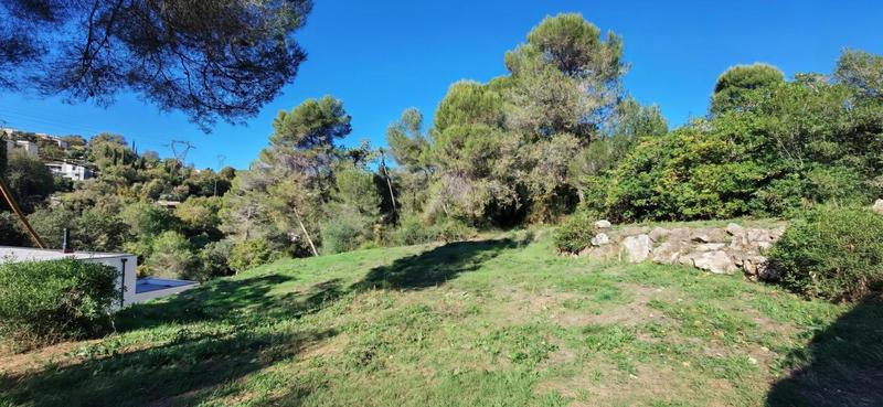 Terrain - 1 455 m²
