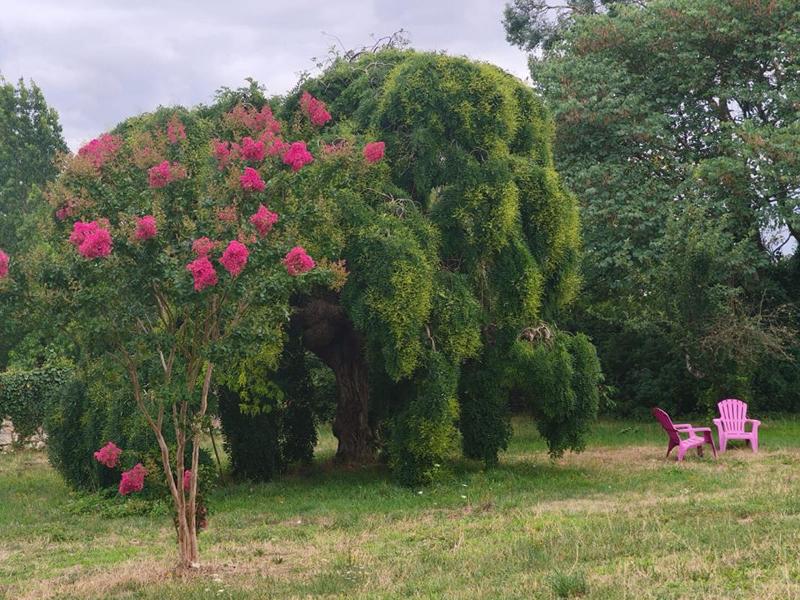 Maison - 228 m² - 8 pièces