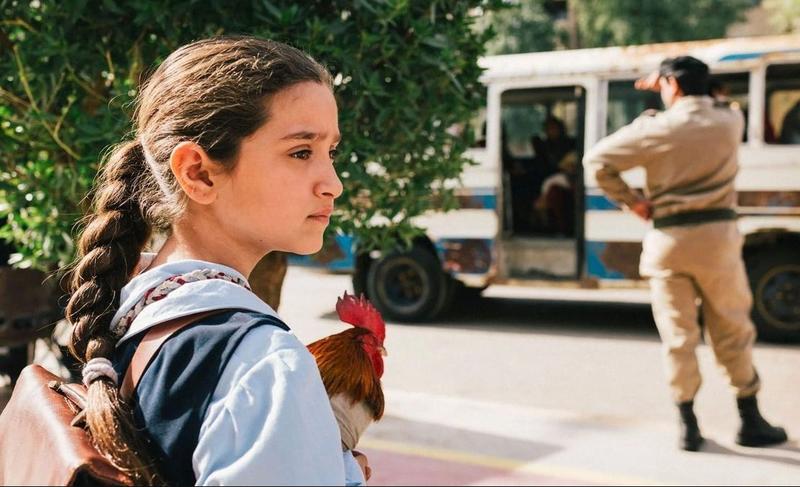 Cineco : le Gâteau du Président