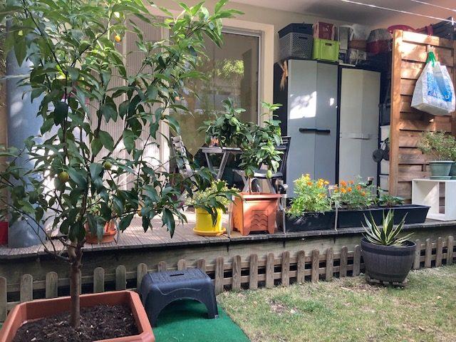 Appartement - 22 m² - 1 pièce