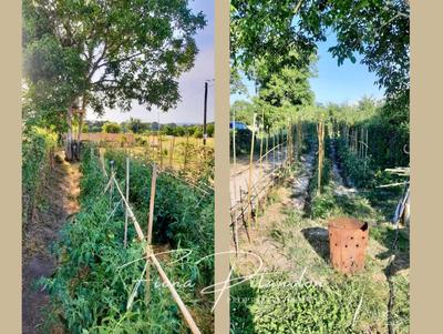 Maison de village - 132 m² - 9 pièces