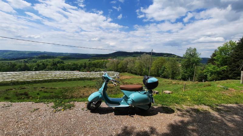 Balade accompagnée en mobylette