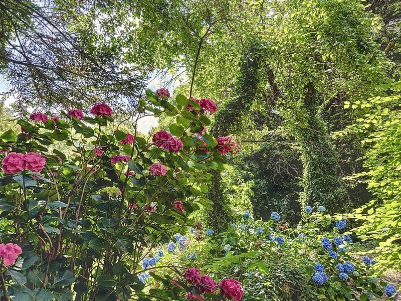 Maison - 330 m² - 10 pièces