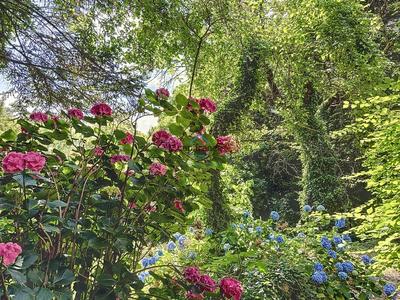 Maison - 330 m² - 10 pièces