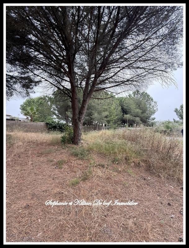 Terrain constructible - 1 001 m²