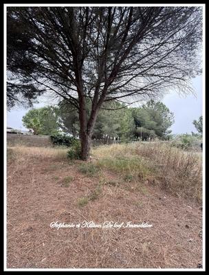 Terrain constructible - 1 001 m²