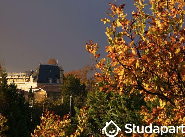 Chambre - 11 m² - 1 pièce