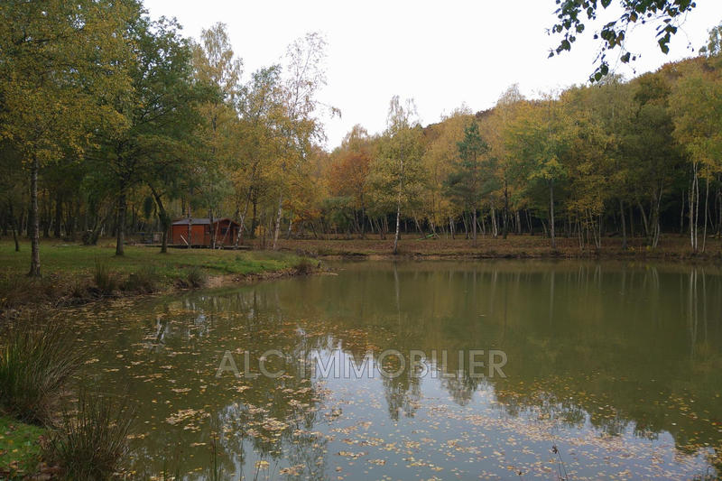 Terrain de loisirs - 23 520 m²