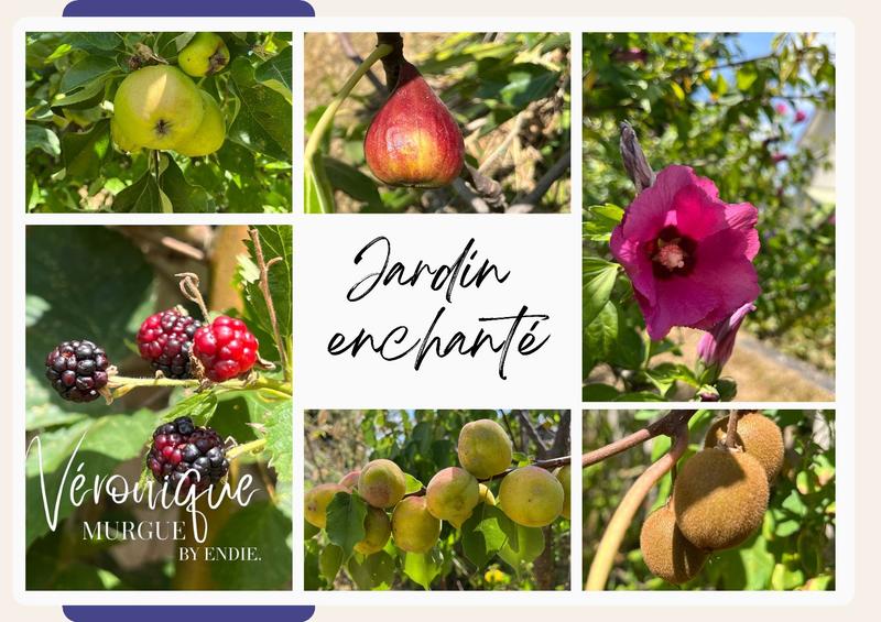 Maison - 195 m² - 8 pièces