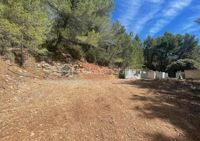 Terrain - 40 890 m²