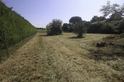 Terrain constructible - 4 397 m²