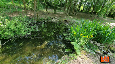 Maison - 262 m² - 6 pièces