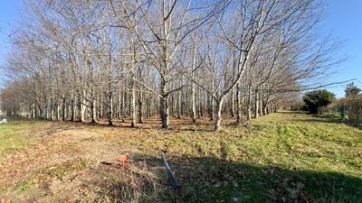 Terrain constructible - 5 692 m²