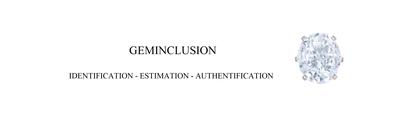 GemInclusion