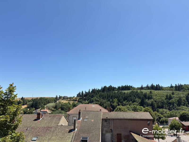 Maison ancienne - 370 m² - 14 pièces