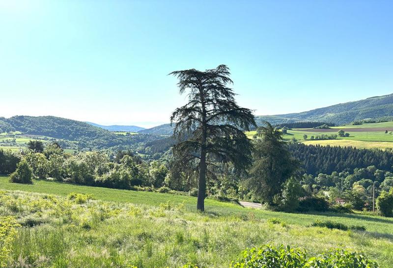 Terrain de lotissements - 972 m²