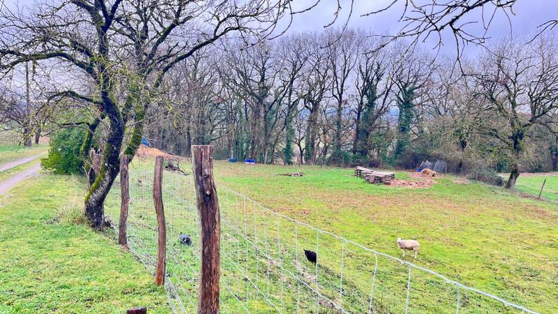 Maison - 215 m² - 6 pièces