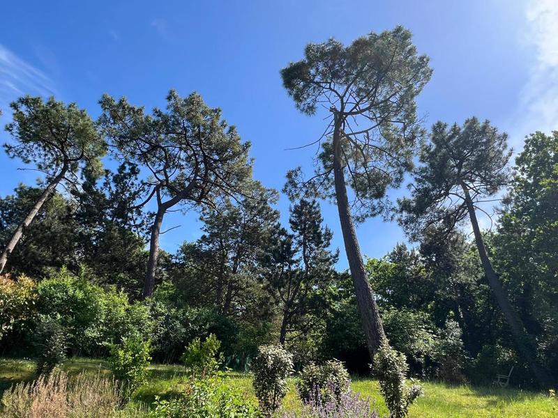 Maison - 268 m² - 6 pièces