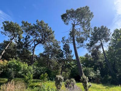 Maison - 268 m² - 6 pièces