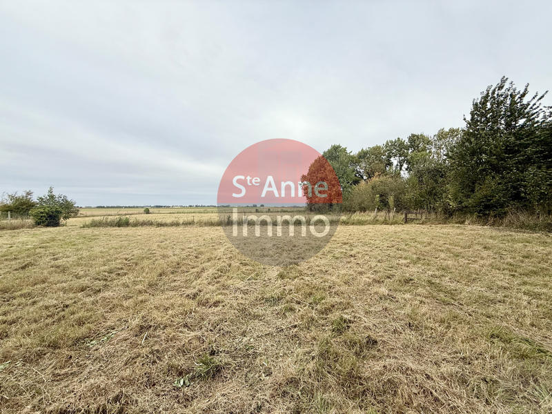 Terrain - 3 653 m²
