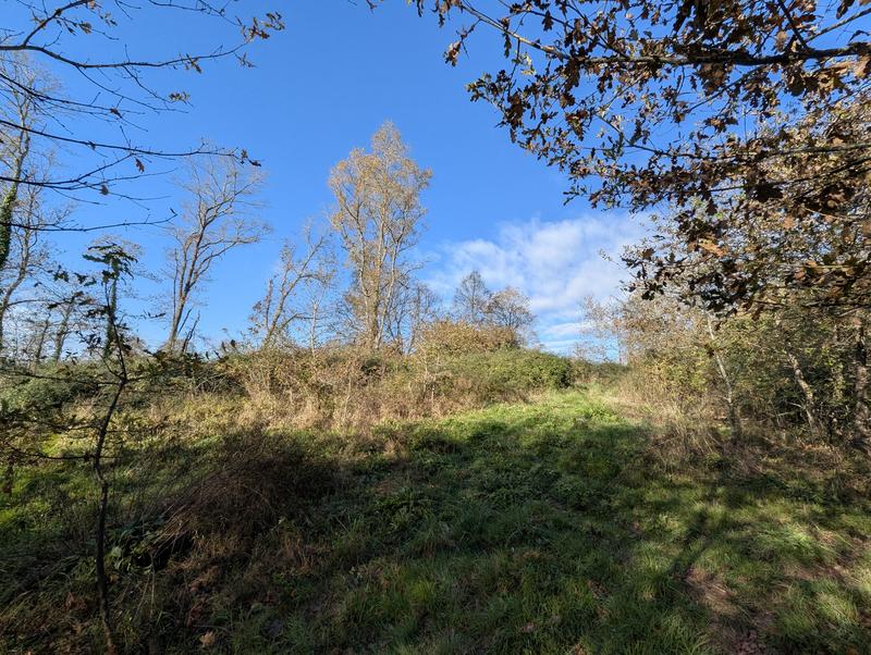 Ferme - 100 m² - 4 pièces